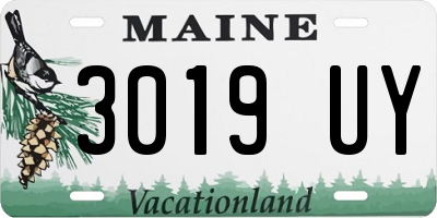 ME license plate 3019UY