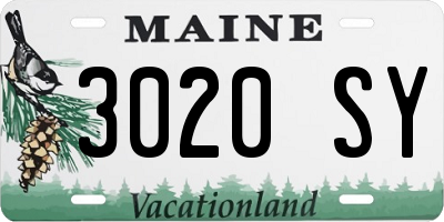 ME license plate 3020SY
