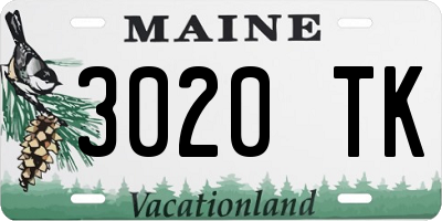 ME license plate 3020TK