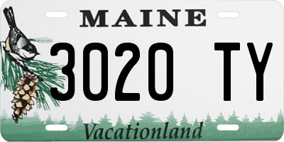 ME license plate 3020TY