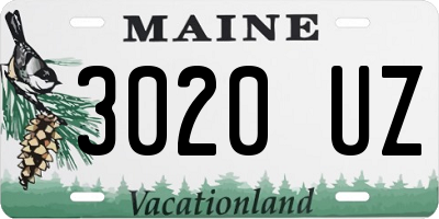 ME license plate 3020UZ