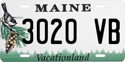 ME license plate 3020VB