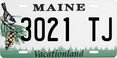ME license plate 3021TJ