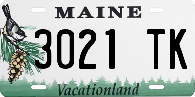 ME license plate 3021TK