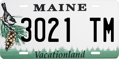 ME license plate 3021TM