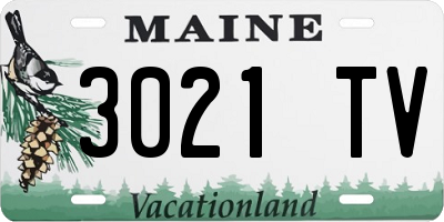 ME license plate 3021TV