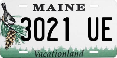 ME license plate 3021UE