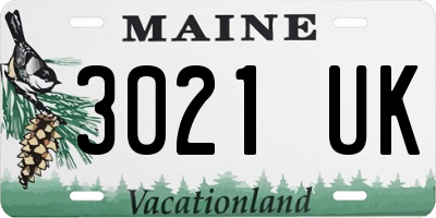 ME license plate 3021UK