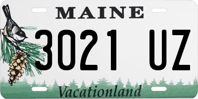 ME license plate 3021UZ