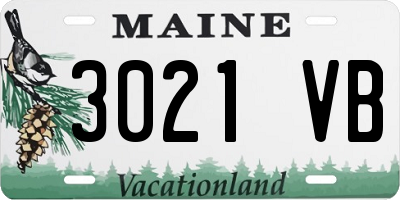 ME license plate 3021VB