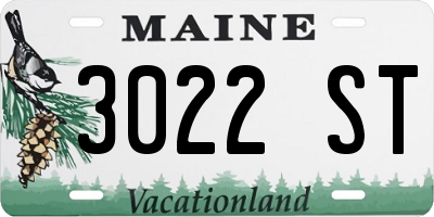 ME license plate 3022ST