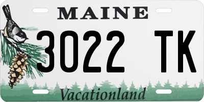 ME license plate 3022TK