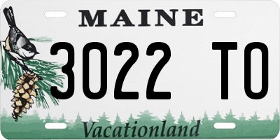 ME license plate 3022TO