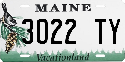 ME license plate 3022TY
