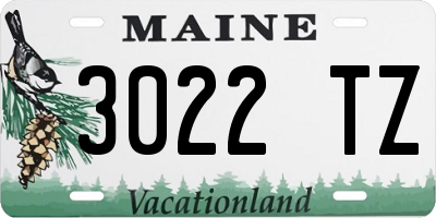 ME license plate 3022TZ