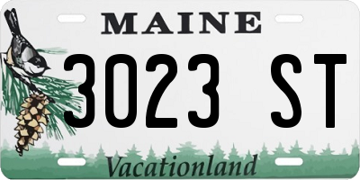 ME license plate 3023ST