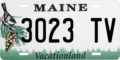 ME license plate 3023TV