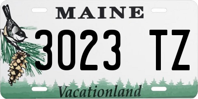 ME license plate 3023TZ