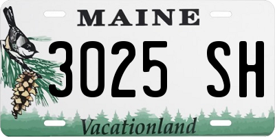 ME license plate 3025SH