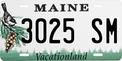 ME license plate 3025SM