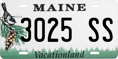 ME license plate 3025SS