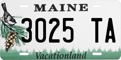 ME license plate 3025TA