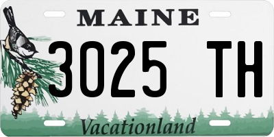 ME license plate 3025TH