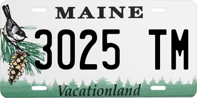 ME license plate 3025TM