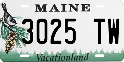 ME license plate 3025TW