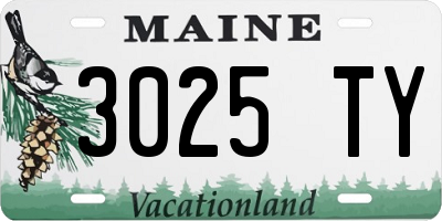 ME license plate 3025TY