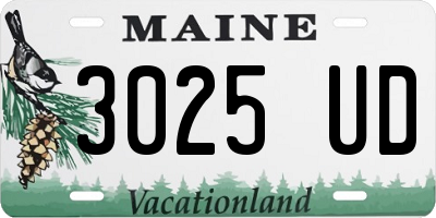 ME license plate 3025UD