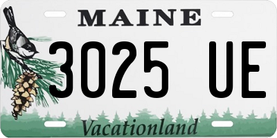 ME license plate 3025UE