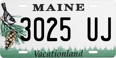 ME license plate 3025UJ