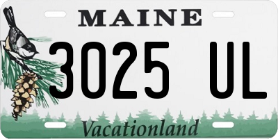 ME license plate 3025UL