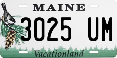 ME license plate 3025UM