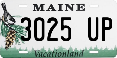 ME license plate 3025UP