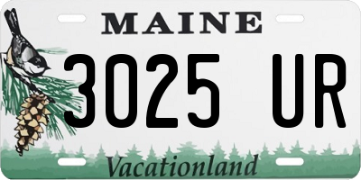 ME license plate 3025UR