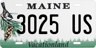 ME license plate 3025US