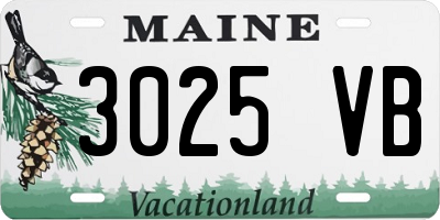 ME license plate 3025VB