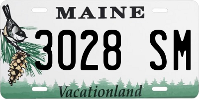ME license plate 3028SM