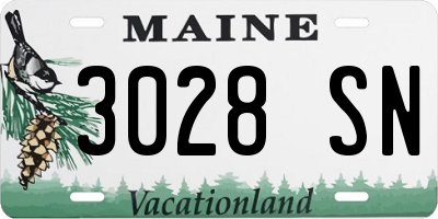 ME license plate 3028SN