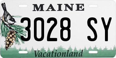 ME license plate 3028SY