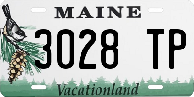 ME license plate 3028TP