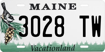 ME license plate 3028TW