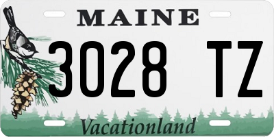 ME license plate 3028TZ