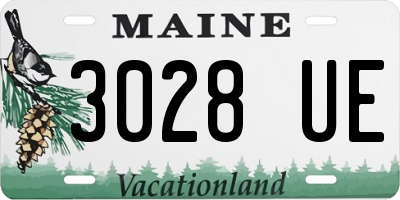 ME license plate 3028UE