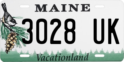 ME license plate 3028UK