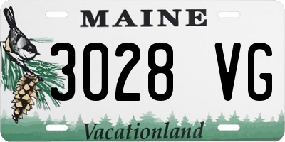 ME license plate 3028VG