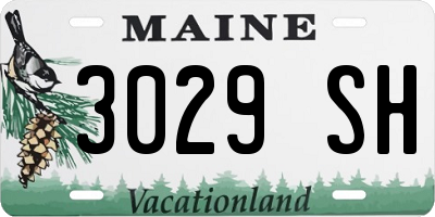 ME license plate 3029SH