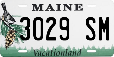 ME license plate 3029SM